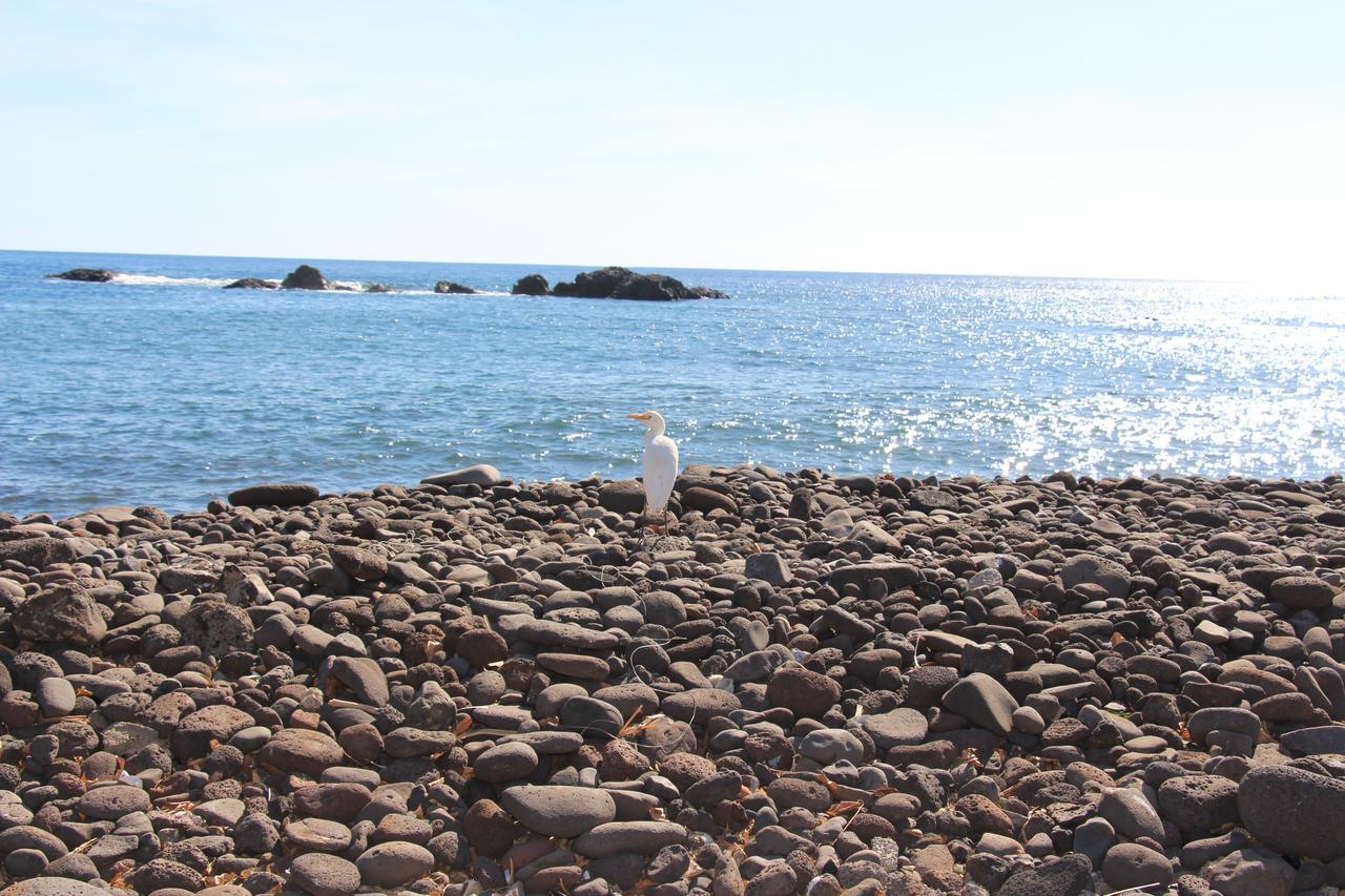 Pousada Quinta Ribeirinha Cidade Velha 外观 照片